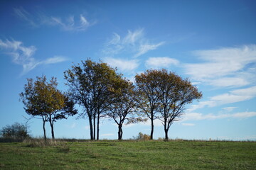 Baugruppe auf offenem Feld, Herbstwetter bei Sonnenschein und mit schönem blauen Himmel