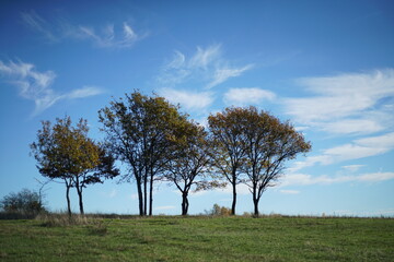 Obraz premium Baugruppe auf offenem Feld, Herbstwetter bei Sonnenschein und mit schönem blauen Himmel