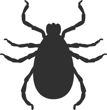 Mite Insect Black Silhouette Icon