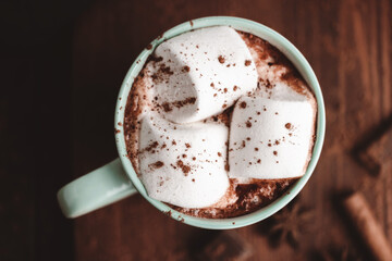 Hot chocolate drink with marshmallow in a cup on wooden board with cinnamon and star anise, top view