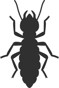 recommend clip art: Termite black silhouette icon