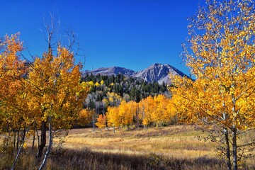 Fototapeta premium Pine Hollow hiking trail Mountain views by Timpanogos in the Wasatch Mountains Rocky Mountains, Utah. America. 