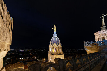 View from the roofs of the Fourvière basilica (Lyon - France)