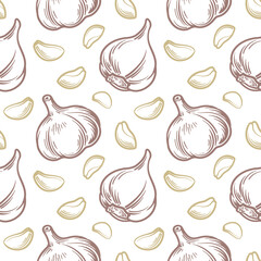 Whole garlic and garlic cloves. Garlic seamless pattern. Vector illustration.
