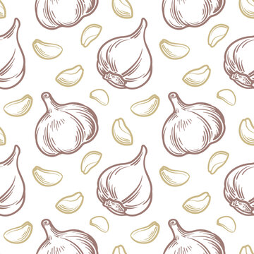 Whole garlic and garlic cloves. Garlic seamless pattern. Vector illustration.