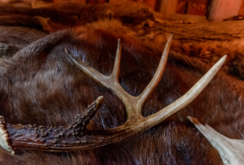 A piece of an antler rests on a fur in an Iroquois longhouse at Crawford Lake near Milton, Ontario.