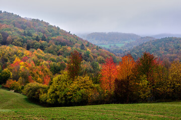 Autumn mountain landscape with forest and colorful trees. Foggy morning. Vrsatec, Slovakia.