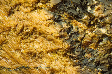 Tiger's eye golden macro detail texture background. close-up raw rough unpolished semi-precious gemstone
