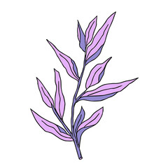 Plant drawing, modern design. Abstract Plant Art design for print, cover, wallpaper. PNG illustration