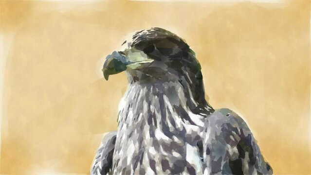 Watercolor art animation video of a golden eagle. Animation, rotoscope, birds, watercolor painting