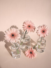 Pink gerbera on pink background in glass bottles on rose background. Pink daisy flowers. Soft pastel colors.
Valentines day, romantic, love, gentle. Pastel pink aesthetic. Rose flowers vintage concept