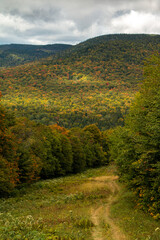 Sentier en montagne dans une for&ecirc;t &agrave; l'automne