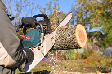 Chainsaw blade cutting wood. Man cutting a log of wood with a chainsaw.
