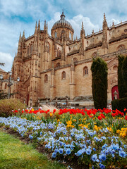 Fototapeta premium Salamanca, Spagna. Ridente e coloratissima città spagnola. Architettura storica, cultura del bello, Cattedrale della città.