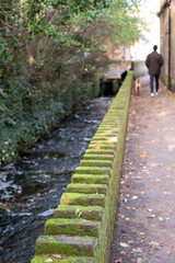Fototapeta na wymiar Moss covered bricks run alongside the water at Mill Walk, Mill Quay, Wheathampstead, Hertfordshire UK.