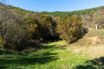 Obraz premium Autumn view of Nishava river gorge, Bulgaria