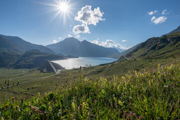 Lac et barrage du Mont-Cenis en été et les alpages, Val-Cenis, Savoie, France - 545780551