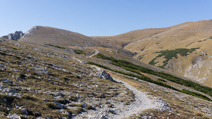 Small hiking trail on a high altitude mountain region in Austria on a beautiful day with blue sky