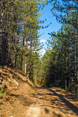 Autumn view of Nishava river gorge, Bulgaria