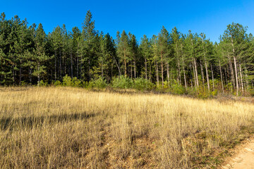 Autumn view of Nishava river gorge, Bulgaria
