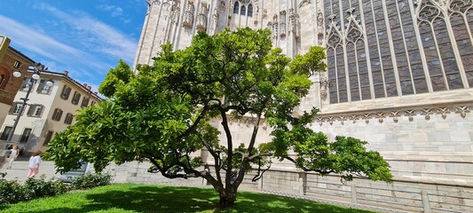 Fototapeta premium Cathedral Duomo di Milano. Panoramic view of the ornate facade with many marble sculptures on the wall. Back view of the cathedral of European country. Detail of a building.
