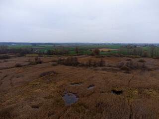 Swamp, drone view