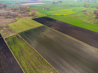 Landscape with fields