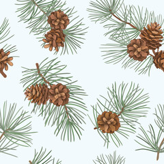 Fototapeta premium Winter forest seamless pattern with pine branches and cones. Evergreen floral christmas vector illustration. Engraving hand-drawn nature background.