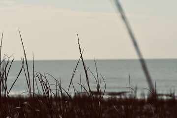 through the eyes of someone smaller