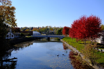 Autumn channel with birds resting on the grass on the shore