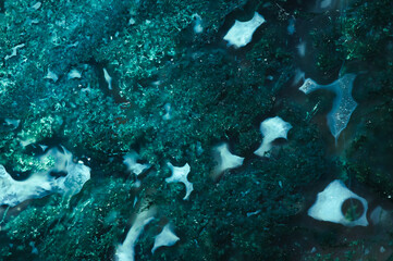 green moss agate (chalcedony crystal with green dendritic inclusion) macro detail. close-up of a...