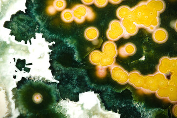 Orbicular jasper (known as ocean jasper) macro detail texture background. close-up polished semi-precious gemstone.