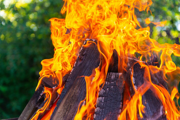 A large fire made of planks. Firewood in a bright flame. Firewood burns brightly in an iron grill.