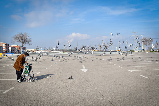 Anciano hombre mayor con su andador, alimentando a las palomas echando de comer a los p&aacute;jaros con una gorra puesta y su andador lleno de bolsas