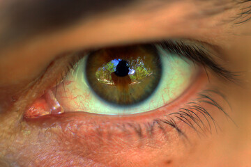 green-brown eye very close	
