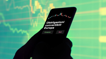 Un inversor está analizando el obbligazioni convertibili europa etf fondo en pantalla. Un...