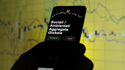 Un inversor está analizando el sociali / ambientali aggregate globale etf fondo en pantalla. Un...