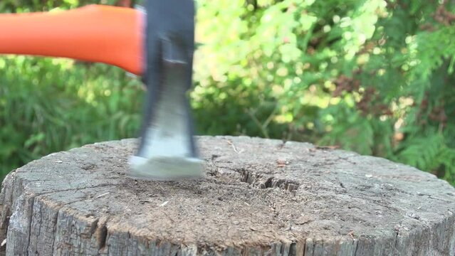 Lumberjack worker throw an ax out of a raw wood tree and start her work