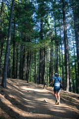 Fototapeta premium Castle Crag California State Park looking at a Beautiful Mature Woman Exploring the Trail