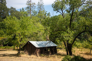 Obraz premium The Outbuildings Below the I-5 Bridge at Dunsmuir Park