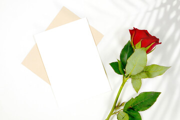 Greeting card product mockup. Valentine's day wedding birthday love theme, styled with a red rose against a minimalist white background. Boho style fern shadow photography.