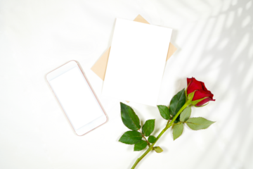 Greeting card and phone product mockup. Valentine's day wedding birthday love theme, styled with a red rose against a minimalist white background. Boho style fern shadow photography.