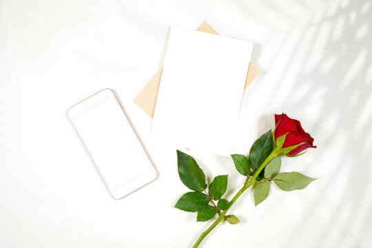 Greeting card and phone product mockup. Valentine's day wedding birthday love theme, styled with a red rose against a minimalist white background. Boho style fern shadow photography.