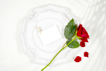 Dinner place card table setting product mockup. Valentine's day wedding birthday love theme, styled with a red rose against a minimalist white background. Boho style fern shadow photography.