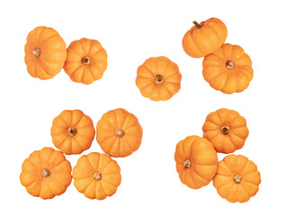 Isolated orange pumpkin. fall harvest, thanksgiving concept