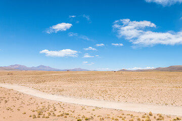Fototapeta na wymiar panoramic view of reserva natural eduardo abaroa parkland in bolivia