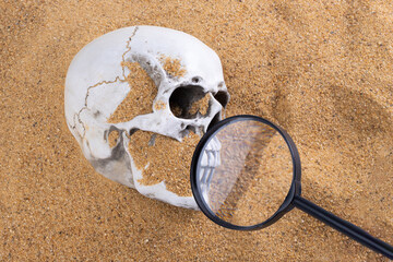 Detective Collecting looking Evidence cause of dead in a Crime Scene. White Bone Skull found under...
