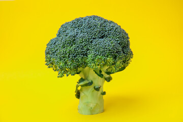 Fresh raw green broccoli on yellow background