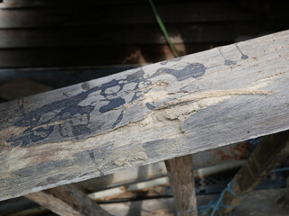 old wooden and termite damage at home.	