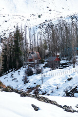 snow shelter in the forest in Cajon del Maipo, Chile.
This photo wast taken in winter season